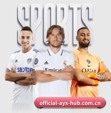 五大智库级服务分区，让资讯获取如同呼吸般自然